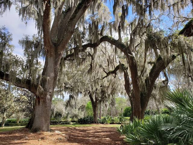 Sholom Park - Image 1