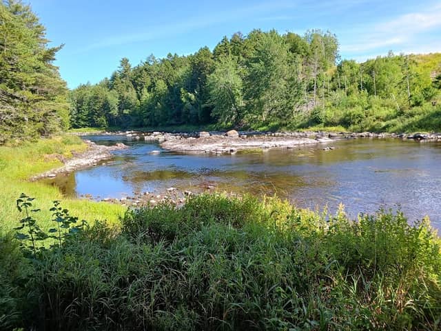 Machias River Preserve - Image 2
