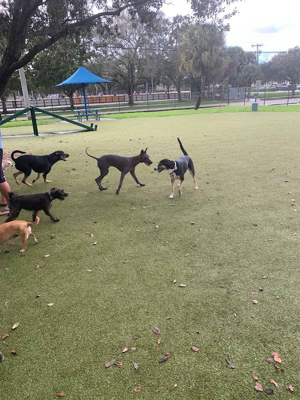 Lilac Park - Image 2