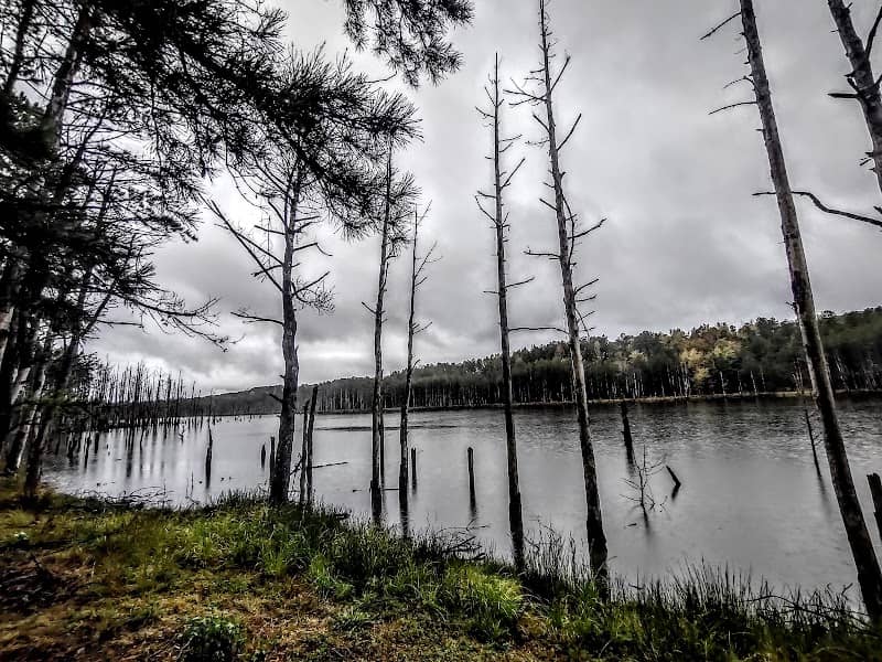 Fancy Hill Lake - Image 1