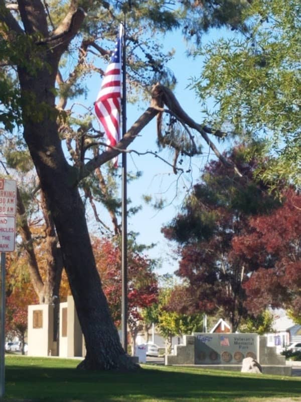 Veteran's Memorial Park - Image 2