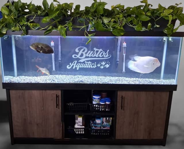 Bustos Aquatics - Image 1