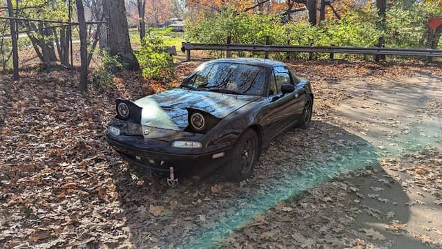 Marais Park - Image 2