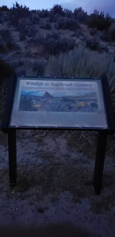 Wildlife in Sagebrush Country - Image 2