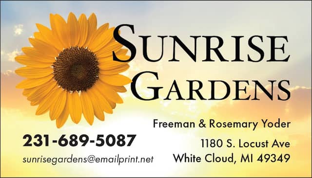 Sunrise Gardens - Image 1