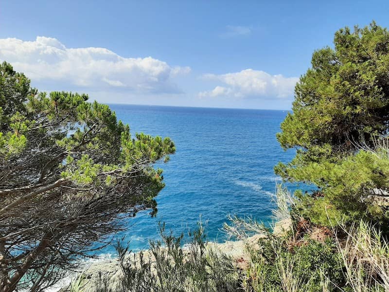 Belvedere Salvadori - Image 1