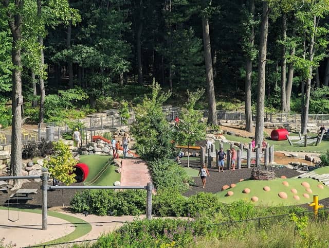 Whiting Forest of Dow Gardens - Image 2