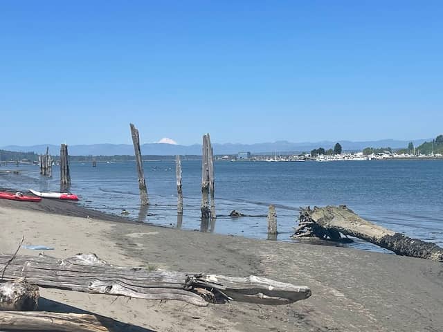 Jetty Island - Image 3