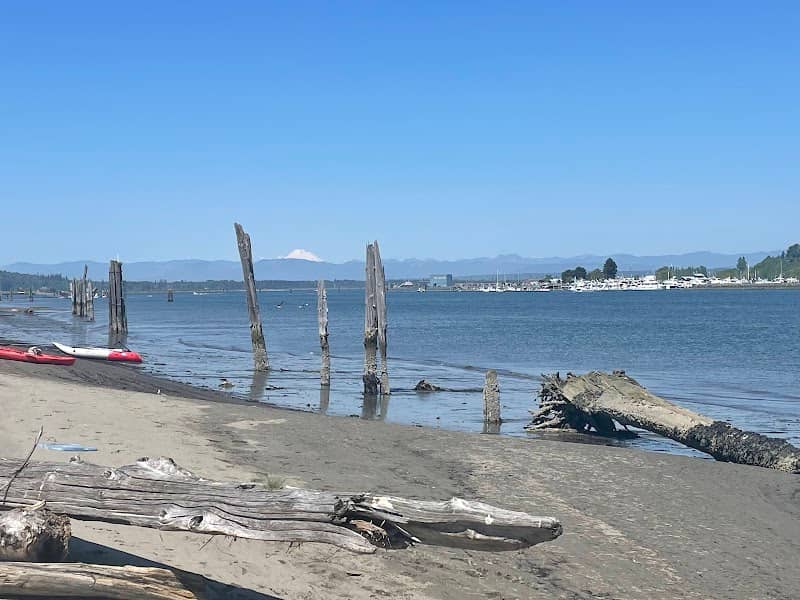 Jetty Island - Image 3