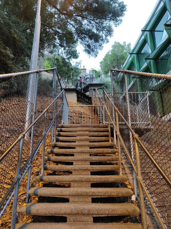 Jacob's Ladder - Image 3