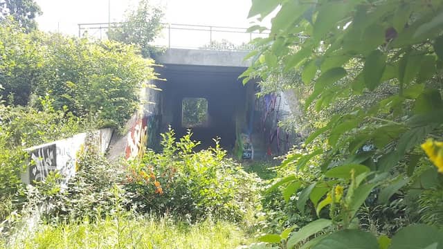 Alter Eisenbahntunnel - Image 1