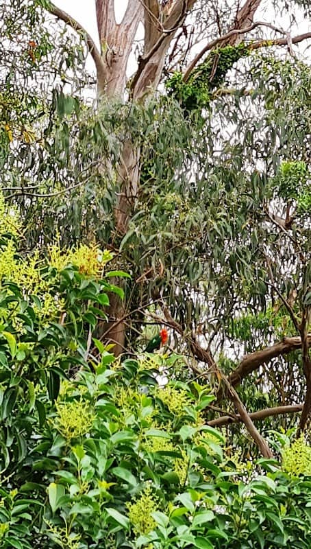 Keegan Reserve - Image 2
