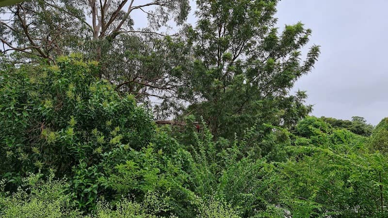 Keegan Reserve - Image 1