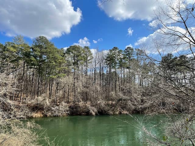Chattahoochee Pointe Park - Image 1