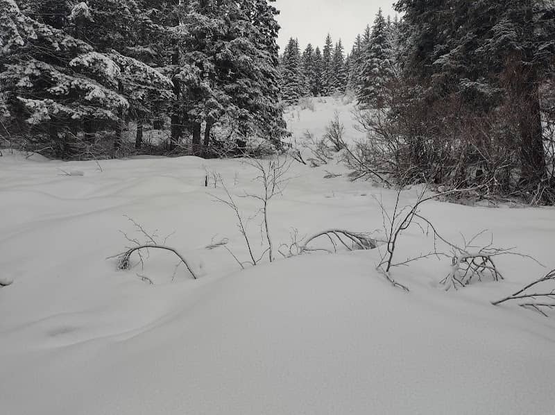 Devils Half Acre Meadow - Image 1