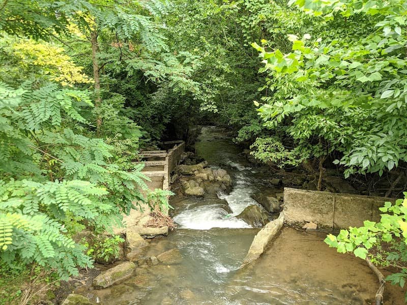 Pistol Creek Dam And Mill Race - Image 2