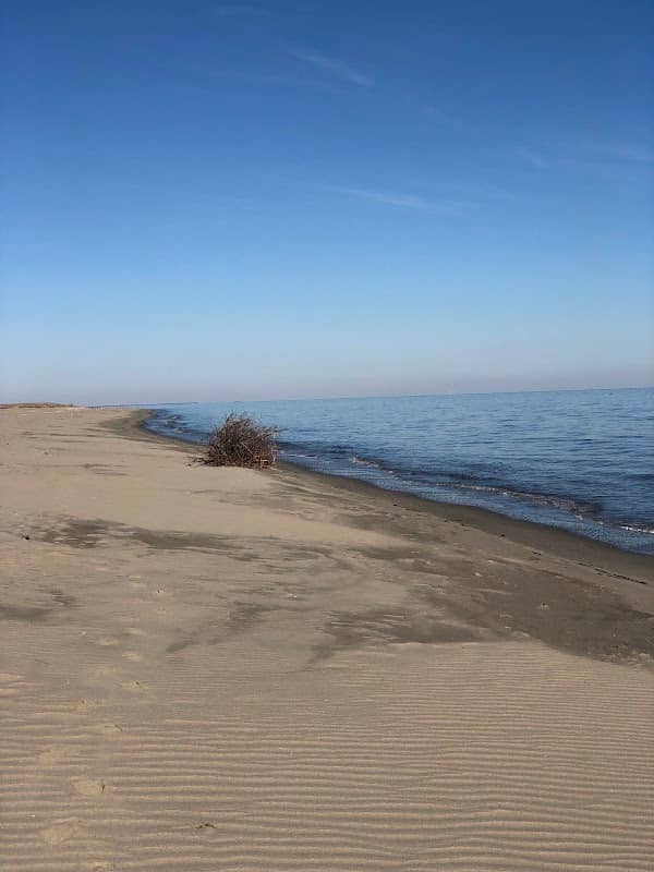 Beach Plum Island Nature Preserve - Image 2