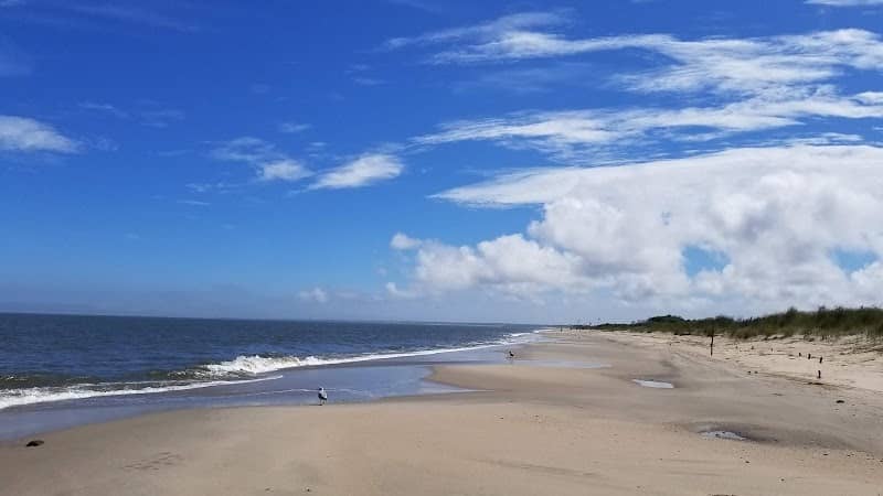 Beach Plum Island Nature Preserve - Image 1