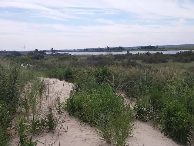 Beach Plum Island Nature Preserve - Image 3