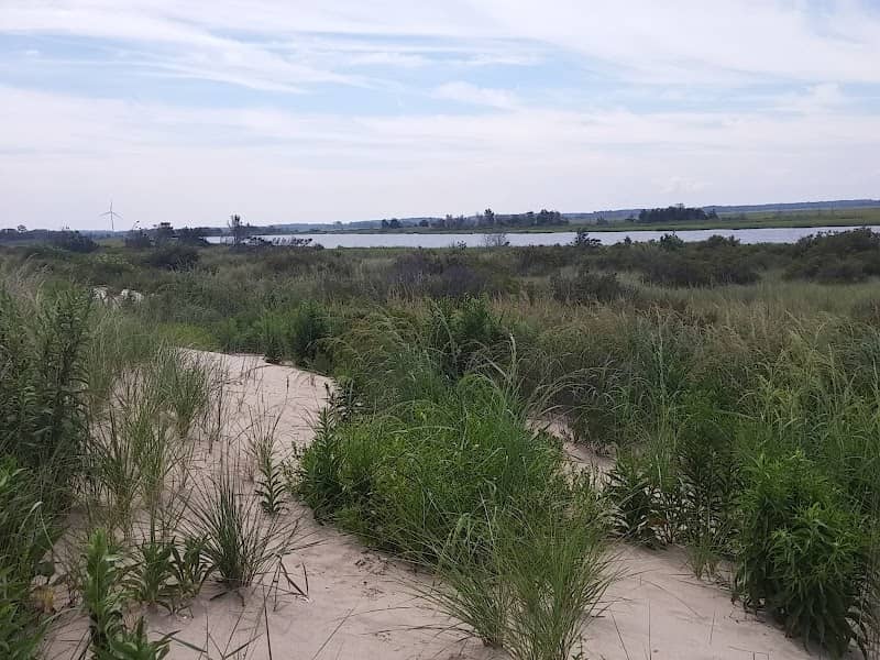Beach Plum Island Nature Preserve - Image 3