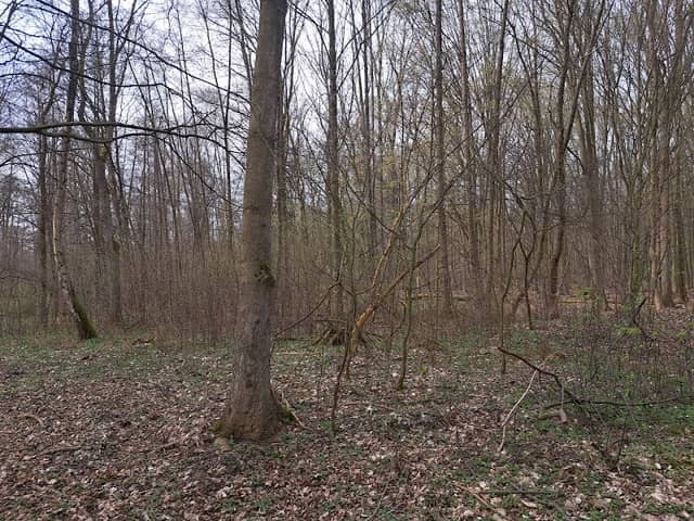 Lübben Spreewald - Image 1