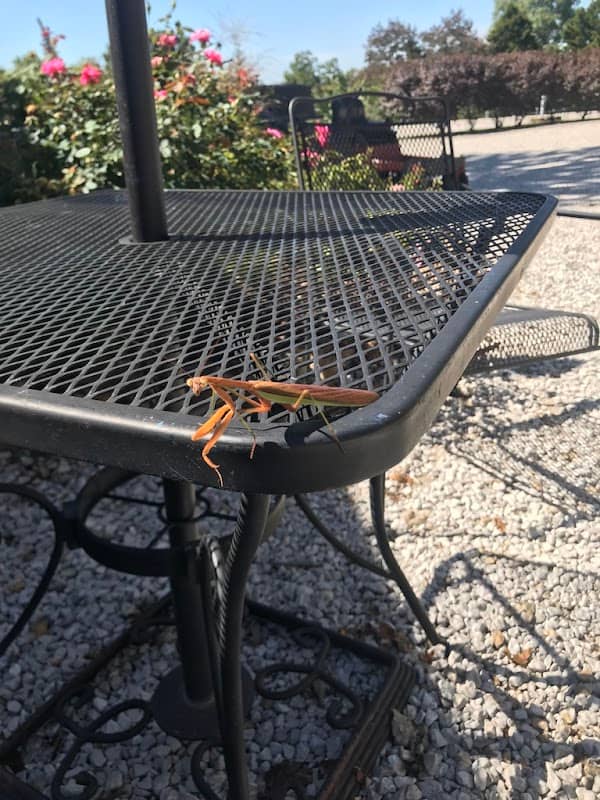 Lazy Day Campground - Image 1