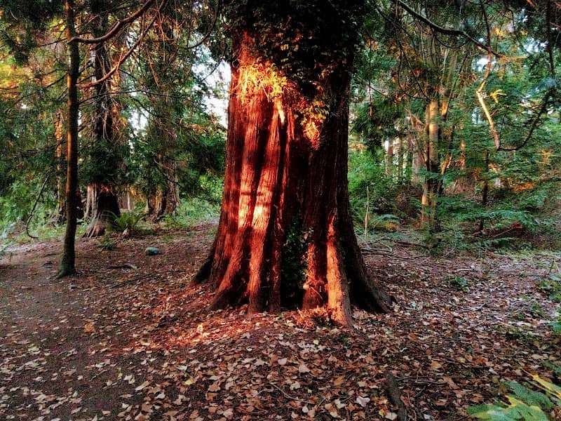 Hutt Park - Image 2