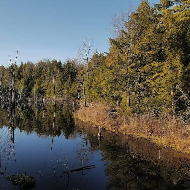 Darby's Pond - Image 1