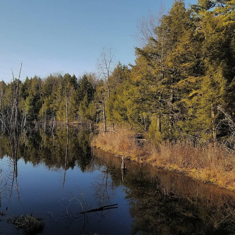 Darby's Pond - Image 1