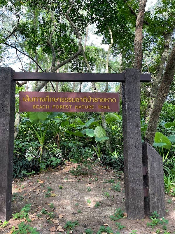 Beach Forest Nature Trail - Image 1