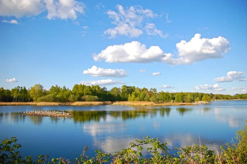 Whisby Nature Park - Image 3