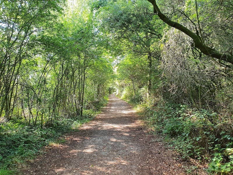 Whisby Nature Park - Image 1