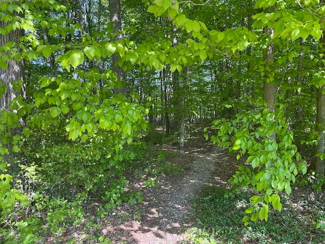 Hazeldell Meadow - Image 2