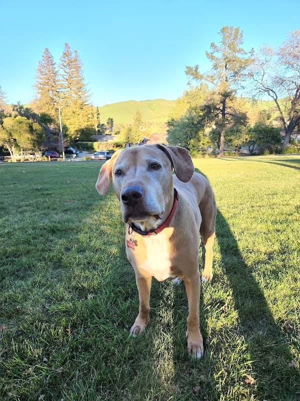 Dana Hills Park - Image 2