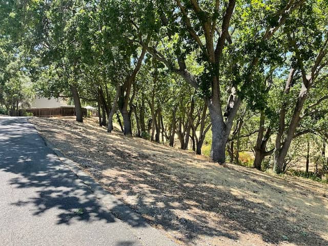 Dana Hills Park - Image 3