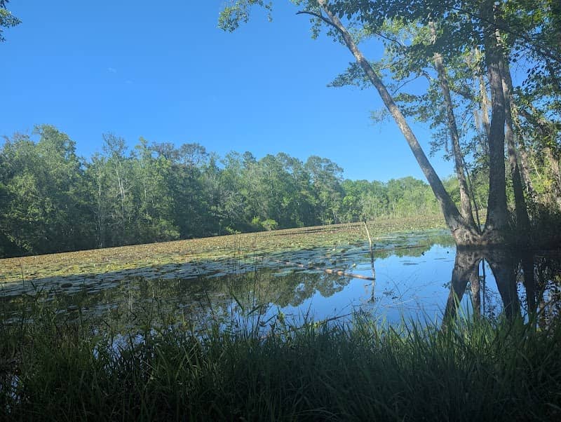 Ghentsville Park - Image 1