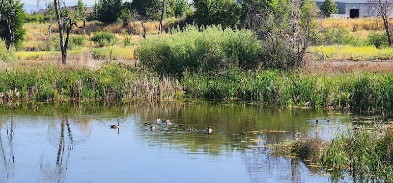 Bird watching - Image 1