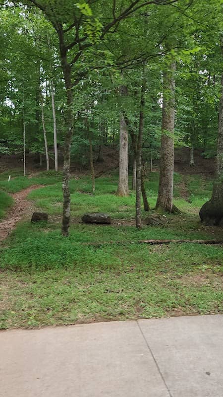 Marconi Access - Big Creek Greenway - Image 3