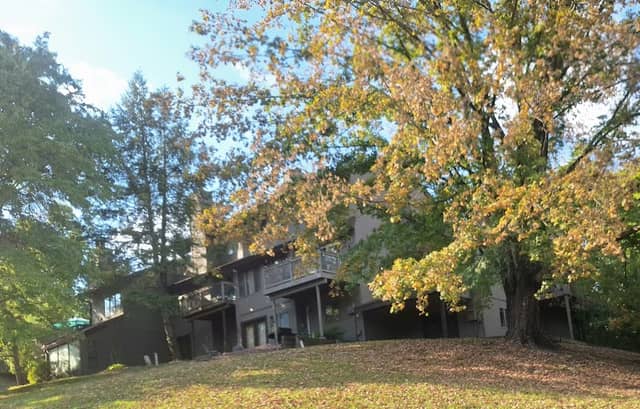 Willowbrook Park - Image 1