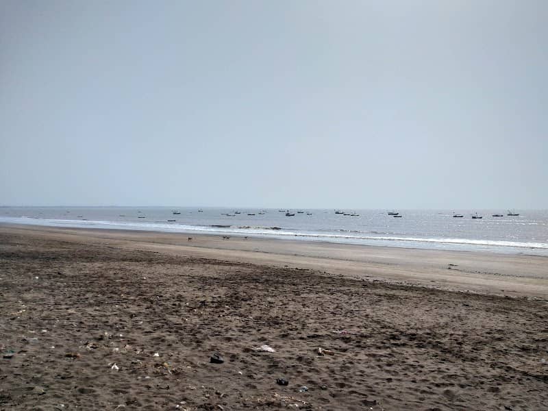 Agar-Narpad Beach - Image 1