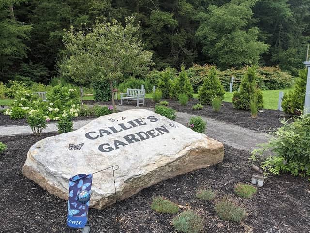 Callie's Garden - Image 1