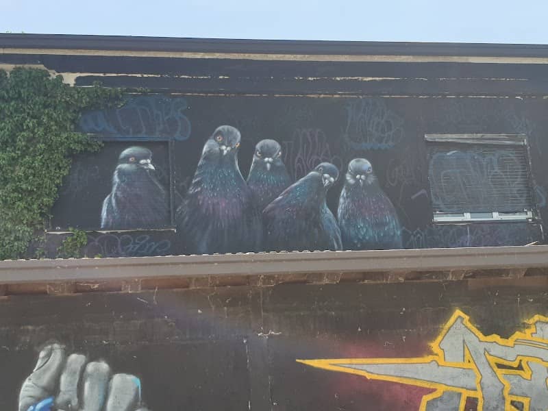 House Murales - Image 2