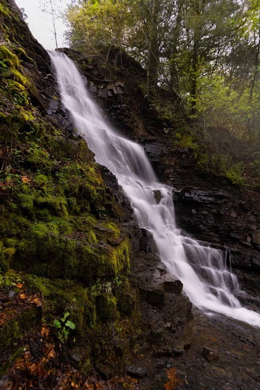 Panther Bluff Falls - Image 1