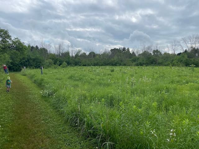 Grasslyn Nature Preserve - Image 2