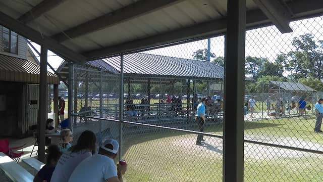 Sulphur Parks & Recreation - Image 1
