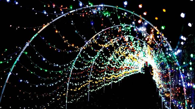 Coppermine Cascade Lights - Image 1