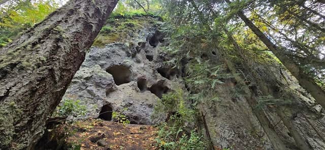 Tamanowas Rock Sanctuary Trailhead - Image 1