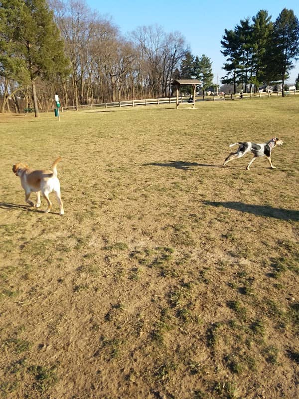 Scout Dog Park - Image 2