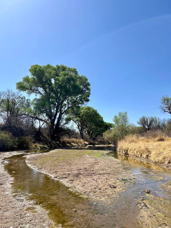 San Pedro Riperian National Conservation Area: Little Boquillas Ranch Trailhead - Image 1