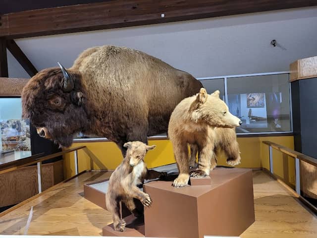 San Bernardino County Museum - Image 1